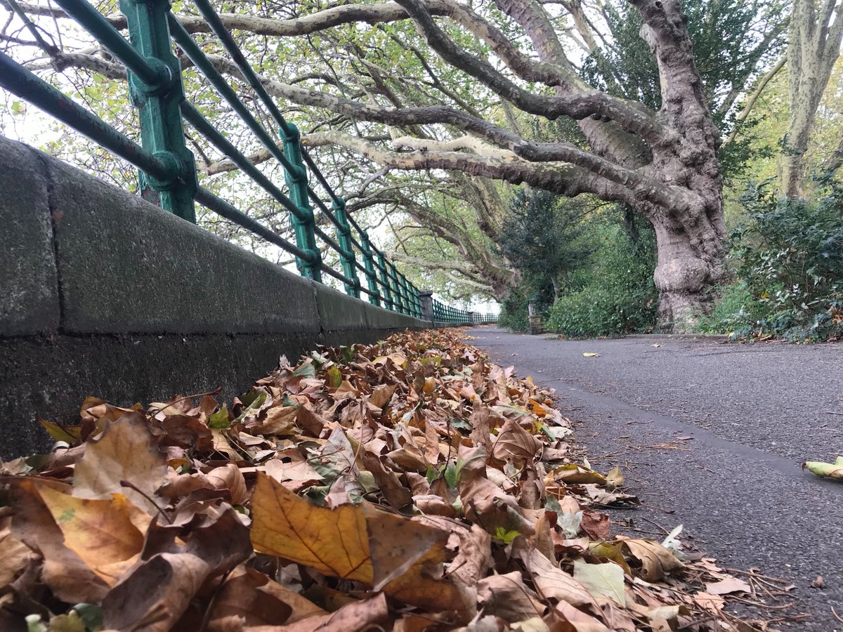 Feeling sad this Autumn? Come to see us tonight at #putney library. If you need someone to talk to, we are here for you. Just walk in at 6pm