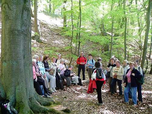 Stechlin_'s tweet photo. Geführte Wanderungen mit Familie Fechner https://t.co/HQWlCUMptP https://t.co/GwBb2kE56e