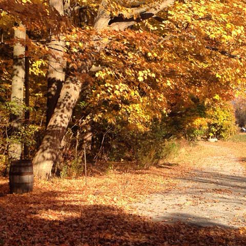 TRCAparks's tweet photo. Today is #TakeMeOutsideDay! Get out and explore a new area near you! #nature #exploreGTA #wildlife #explore https://t.co/ZXFA76Zdmh