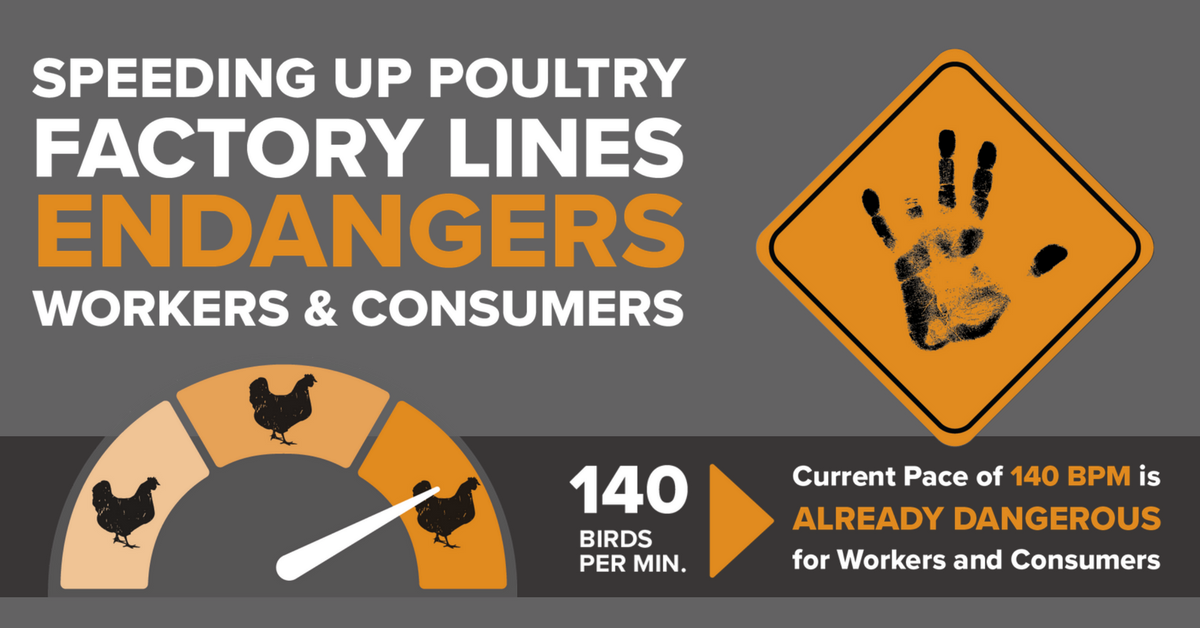 NelpNews's tweet photo. Take 5 minutes: Tell the USDA not to increase line speeds in poultry plants #slowthecluckdown #poultrywork https://t.co/wFc8NWLK2v https://t.co/fWDZOd7ZHq
