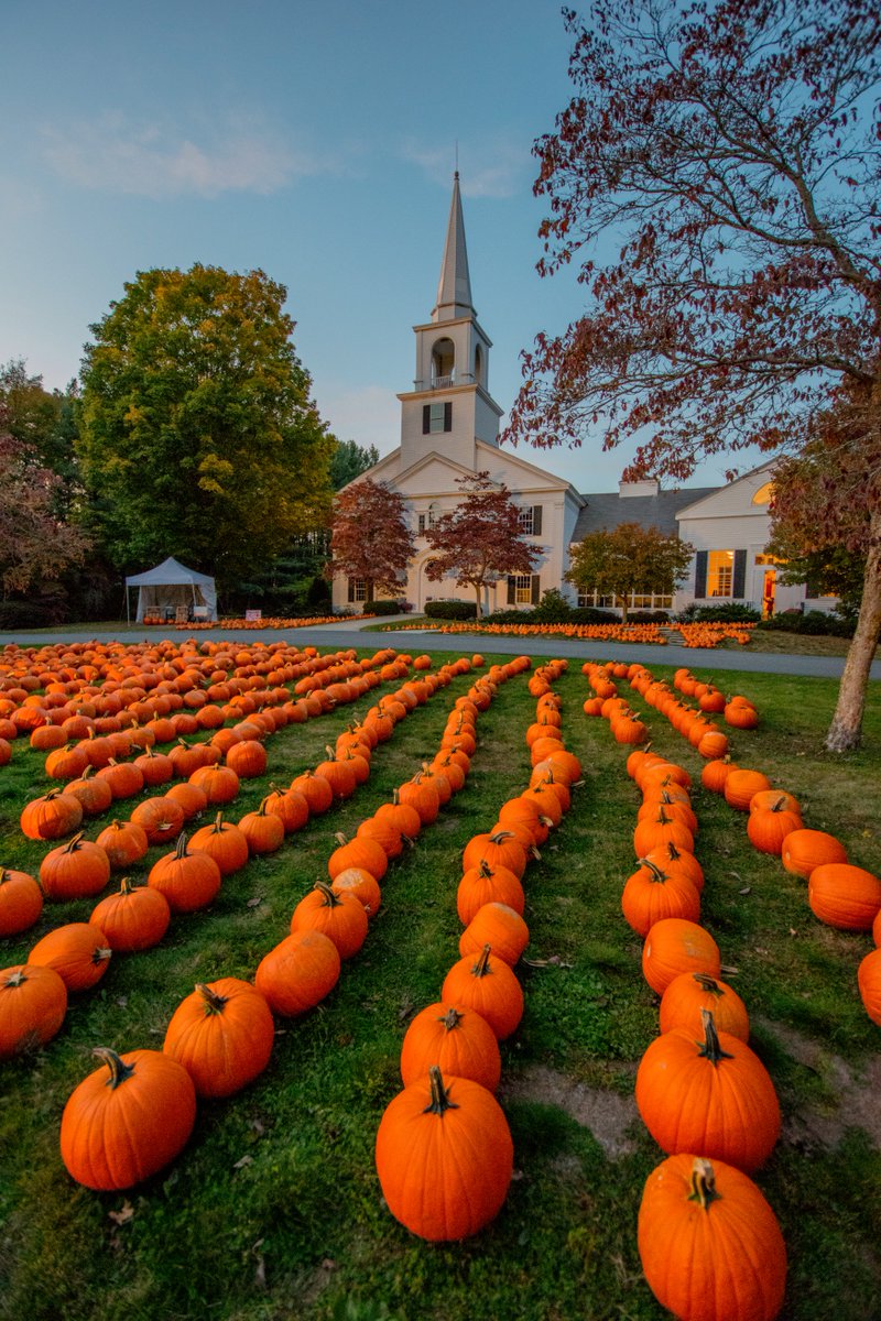 sallycooper's tweet photo. Love this time of year #halloween #pumpkin #photography #newengland #followingboston #ignewengland #ipulledoverforthis https://t.co/QNcJpgxbqO