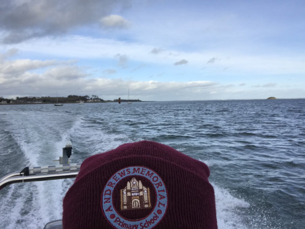 Andrews Memorial tweet media