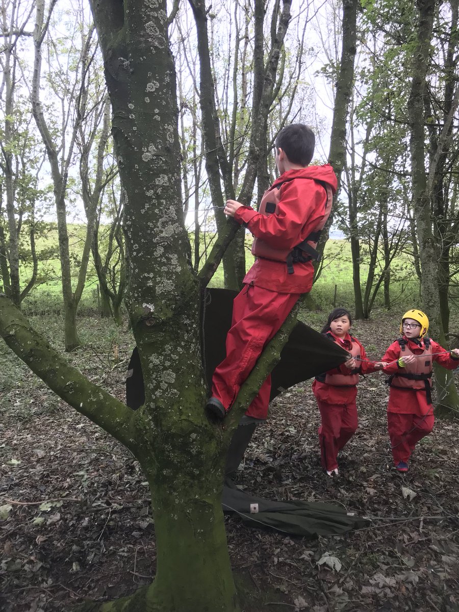 Andrews Memorial tweet media