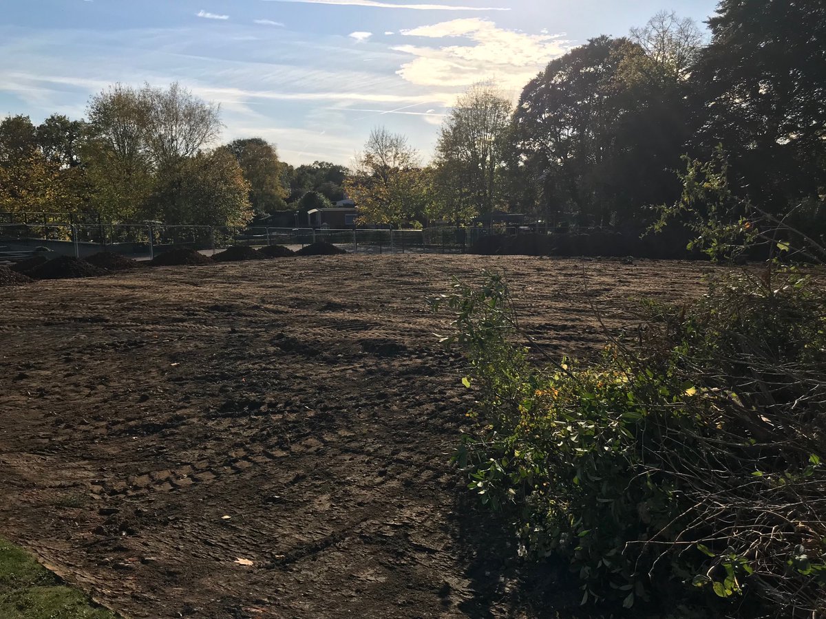 Day 3 and the top soil has gone. The next part of the process is to level the ground.