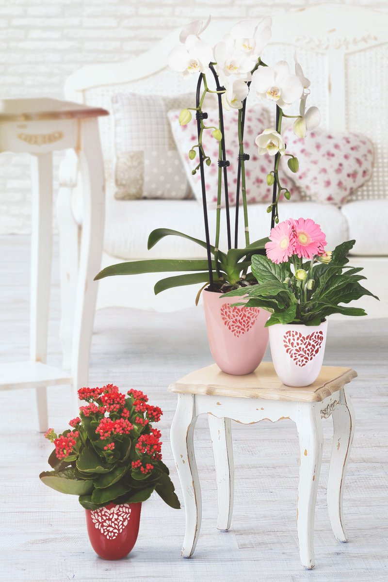 Pottery Direct tweet media