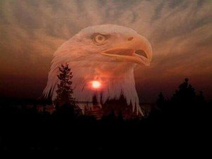 hardcorerox's tweet photo. @ApacheLittleElk #Eagle
#SpiritGuides
#EagleSpiritGuide
#NativeAmerican
Blessings dear brother https://t.co/IJ6nlOLxld