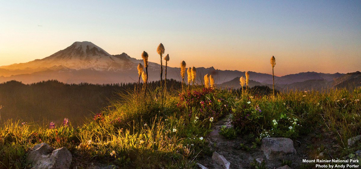WildernessWatch's tweet photo. #DYK Over 96% of @MountRainierNPS is designated #Wilderness. That's why we must #KeepItWild and #KeepItPublic @SecretaryZinke! @ALTUSNPS https://t.co/TTyCa47af9