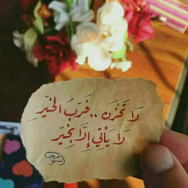 salm_nief309's tweet photo. وَعَسَى گل نَفَسٌ صَابِرَةٌ، يَسْقِيهَا اللهُ فَرَجًا، يَجْعَلُهَا تَسْجُدُ باگية فَرَحًا 
فاللهُّمَ حقَق لنْآ مَا نَتَمَنَّاهُ https://t.co/0JbRKH7ZKu
