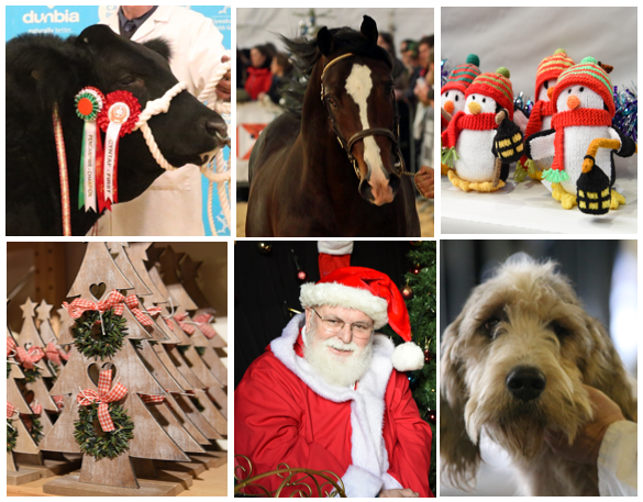 royalwelshshow's tweet photo. #WinterFairWednesday 
There's something for everyone at the #WinterFair 
Buy your discounted e-ticket here ➡️ https://t.co/fFu1s7L7yo https://t.co/OwdkyoUenw