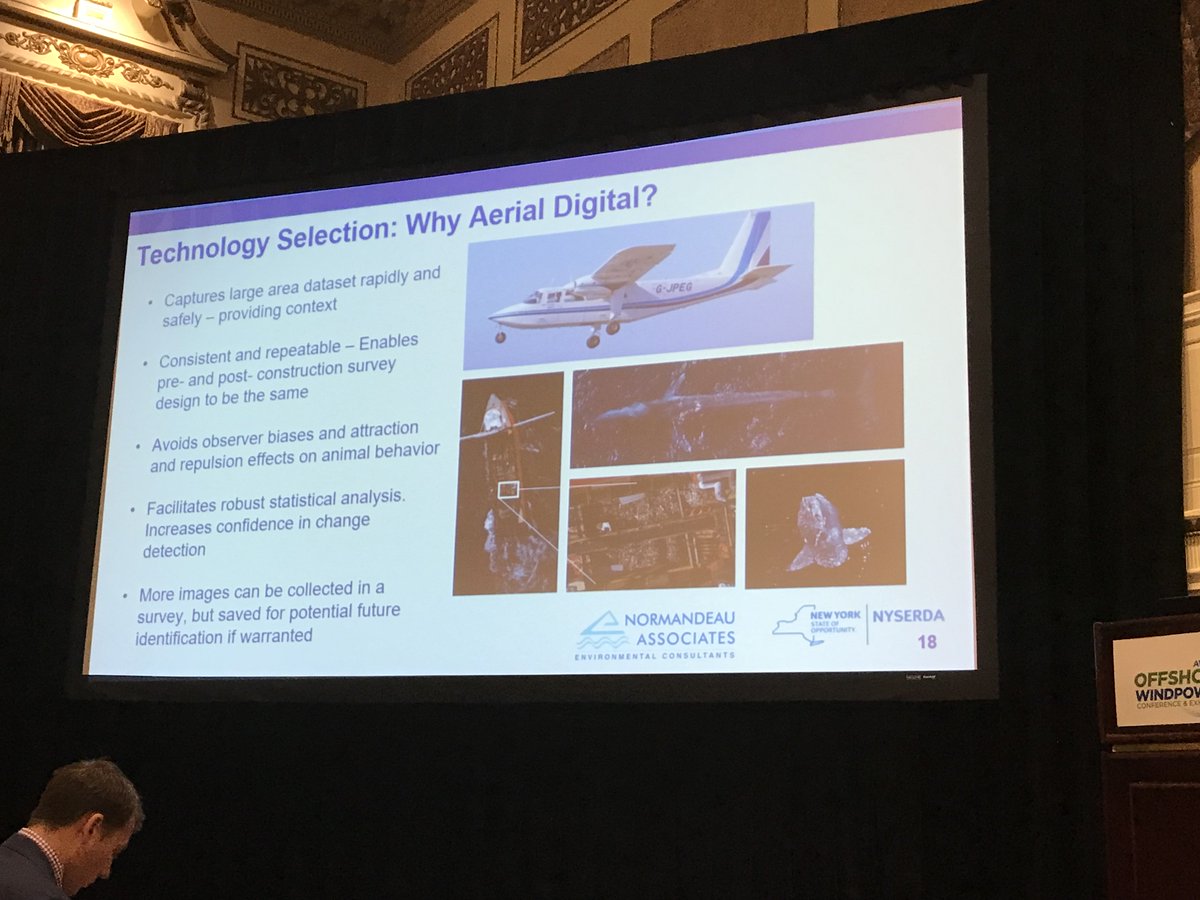 APEMAmerica's tweet photo. Delegates are learning why aerial digital surveys are paramount for offshore wildlife surveys. #Offshore2017 @AWEAevents https://t.co/UwMtrJFG6E