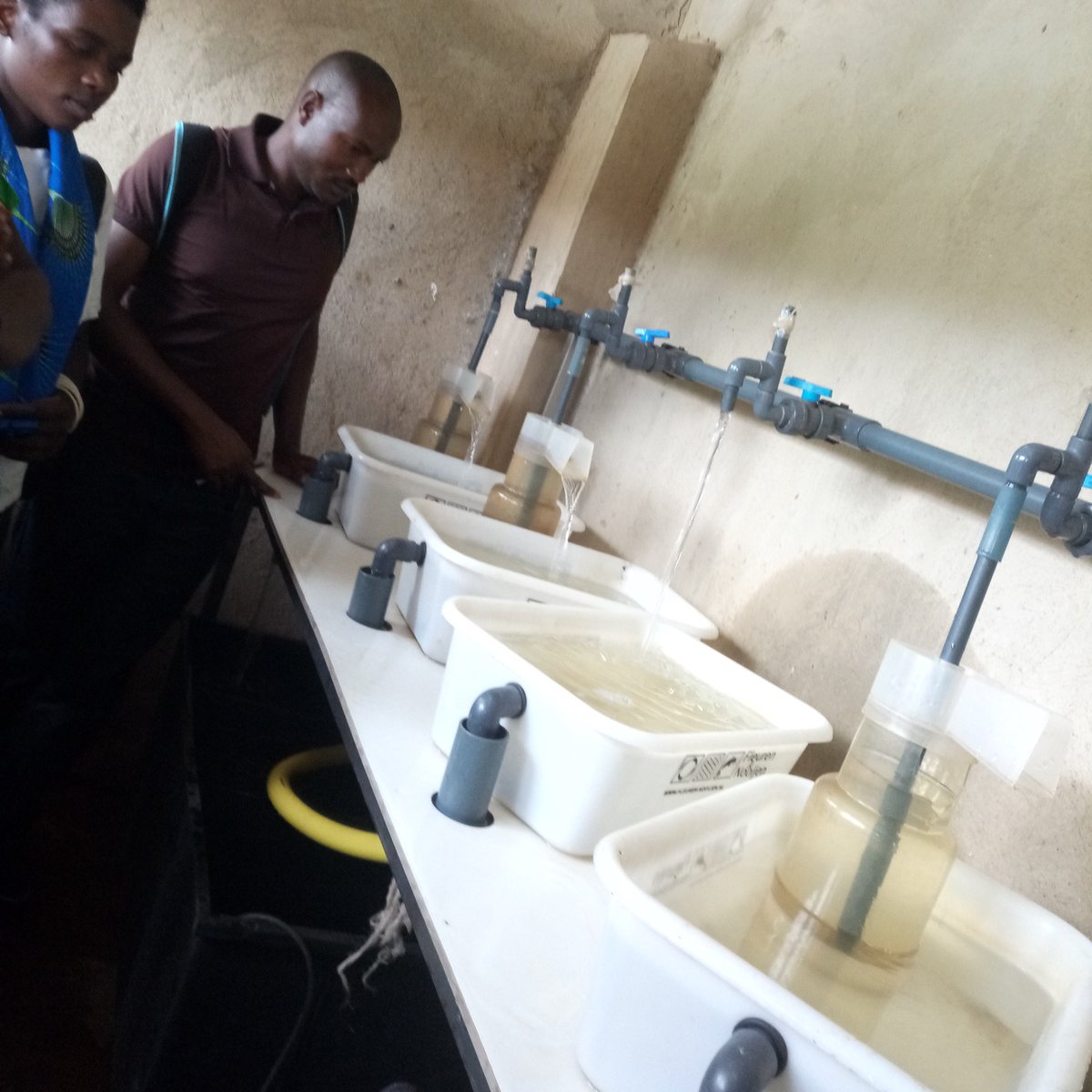 RwandaThsch's tweet photo. Thank you TH. Training for our hatchery house - egg collection time! #Sustainability #thrwanda https://t.co/I7NJISszRm