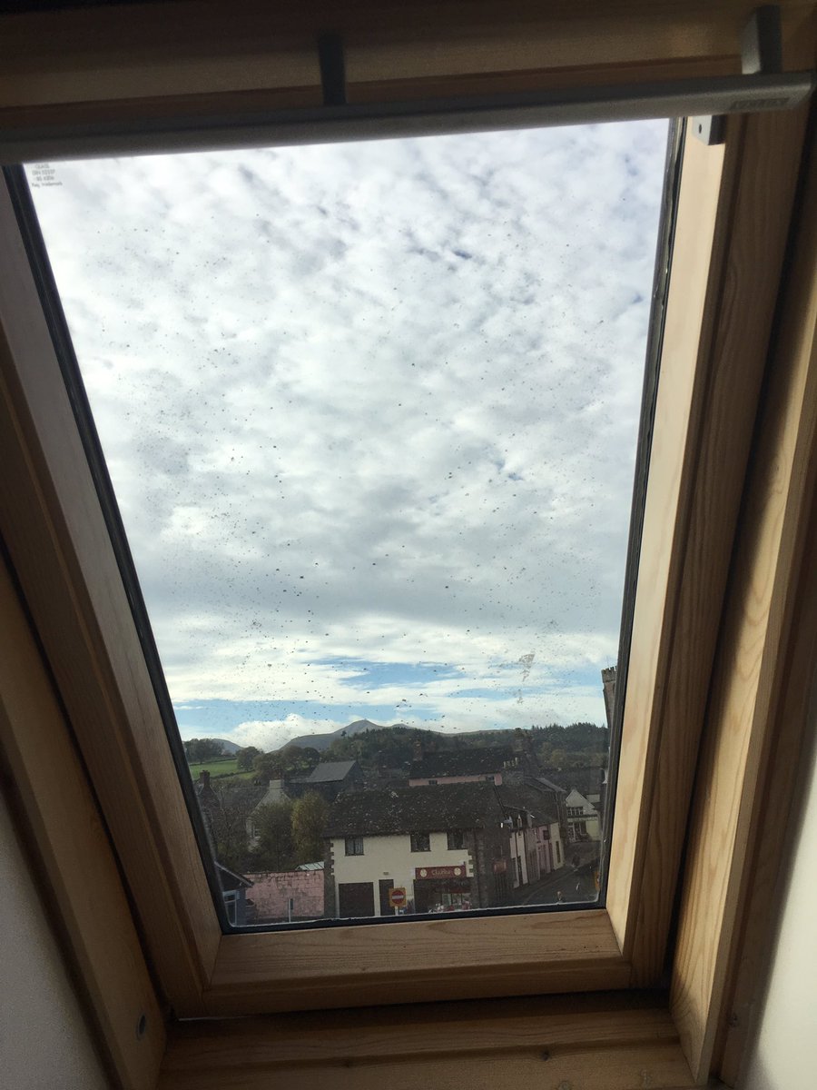 TwmsTreks's tweet photo. Excellent morning with @MidWalesMyWay in #Brecon #Wisdomwednesday amazing work you're doing to promote #cambrianmountains #bootoffice time https://t.co/QJunVMrKzx