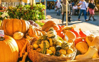 runnersworld's tweet photo. The 10 healthiest fall vegetables—and how to cook them (via @BicyclingMag) https://t.co/ebeP7dRdRC https://t.co/j7JZOzWYTY