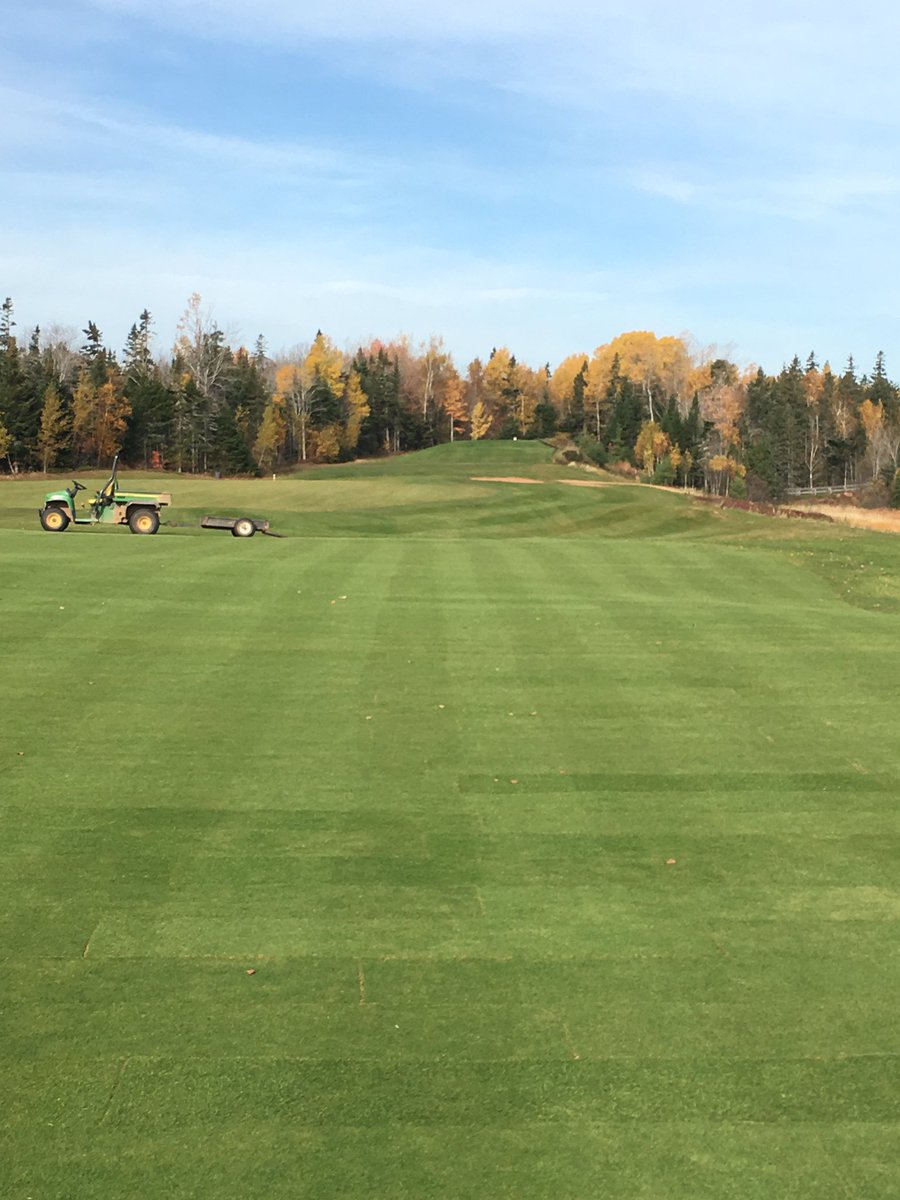 papahenn15's tweet photo. New sod on #8 is looking real good. #dundarave https://t.co/n6HIEKRJzB