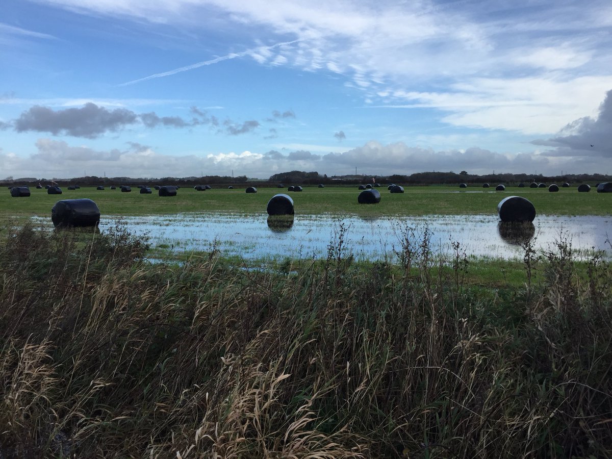 BeebeeBolton's tweet photo. Out signing off capital works in the #TidalRibble project area #saturatedland @RibbleTrust @RibbleLife #stopraining https://t.co/UvMg3bRoG8