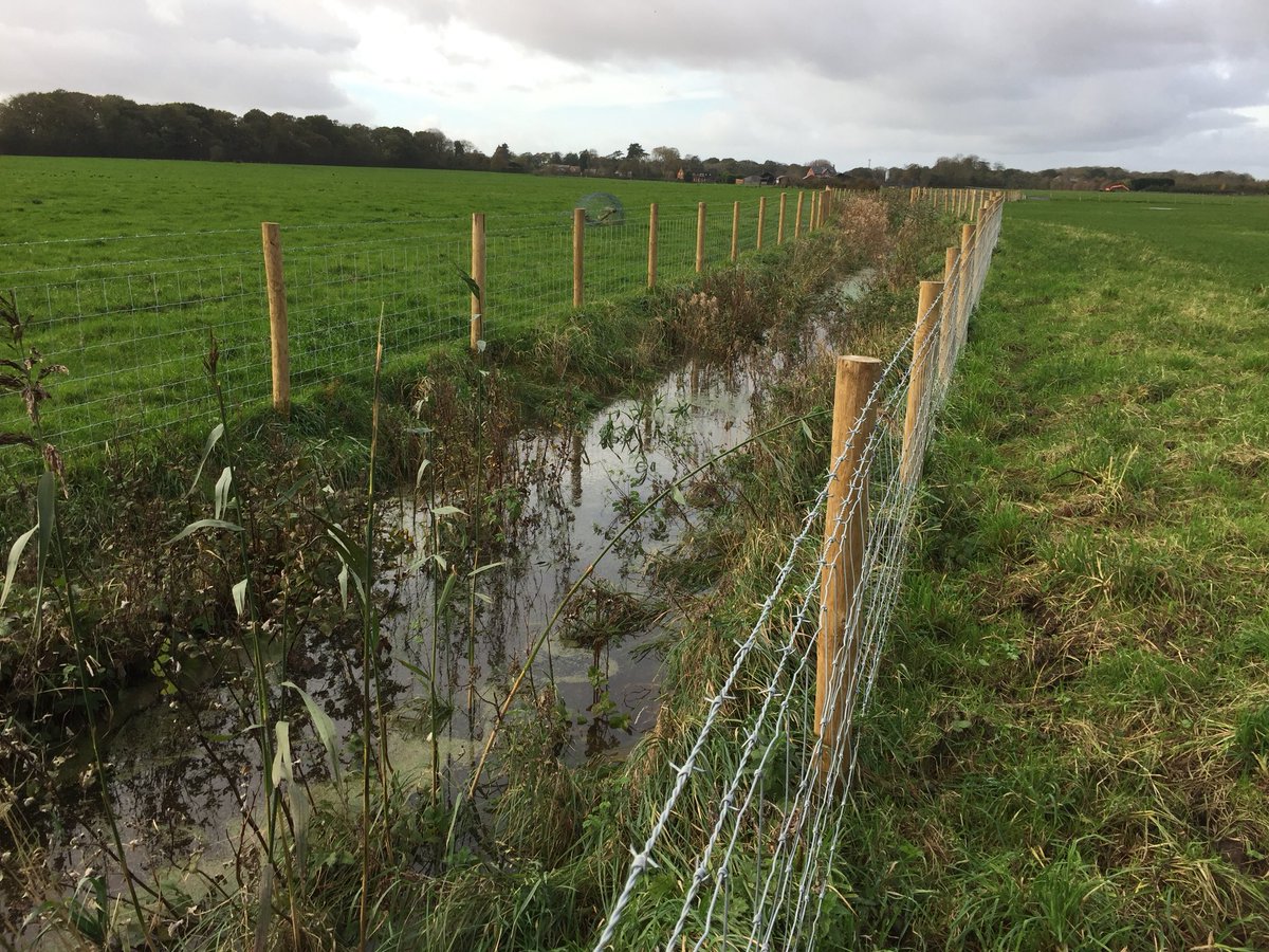 BeebeeBolton's tweet photo. Out signing off capital works in the #TidalRibble project area #saturatedland @RibbleTrust @RibbleLife #stopraining https://t.co/UvMg3bRoG8