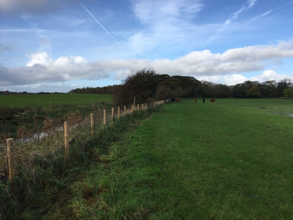 BeebeeBolton's tweet photo. Out signing off capital works in the #TidalRibble project area #saturatedland @RibbleTrust @RibbleLife #stopraining https://t.co/UvMg3bRoG8