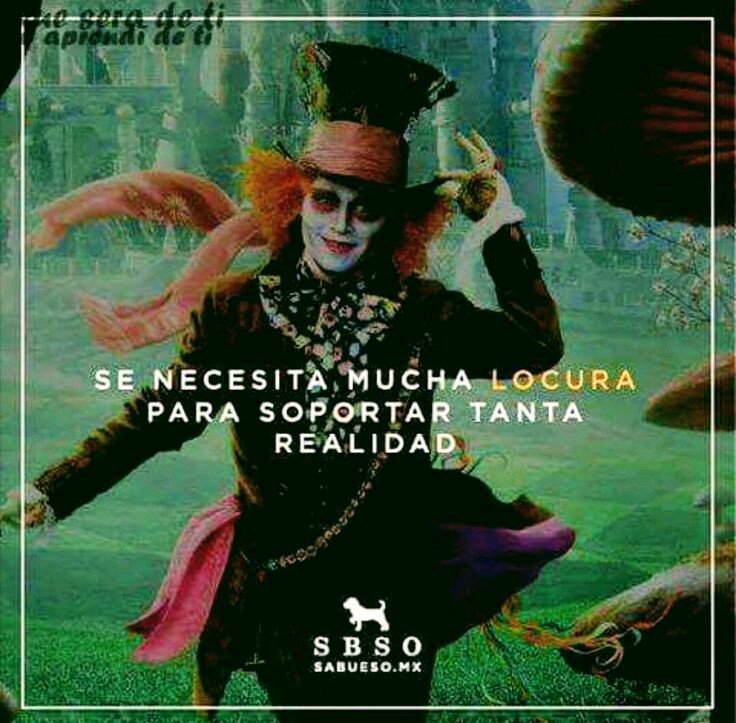 tatapepaav's tweet photo. #unmundodelocos https://t.co/mlgoqeEQgp