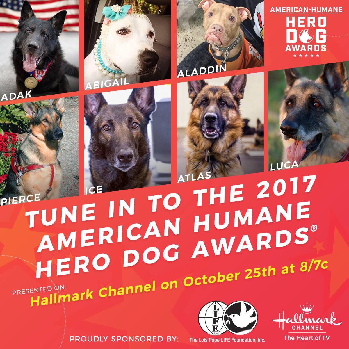 AppleyardAgency's tweet photo. Don't miss the paw-some @americanhumane @HeroDogAwards TONIGHT on @hallmarkchannel at 8/7pmC ❤ 7 Courageous canines, 1 unforgettable night! https://t.co/FvFvAGjIOg