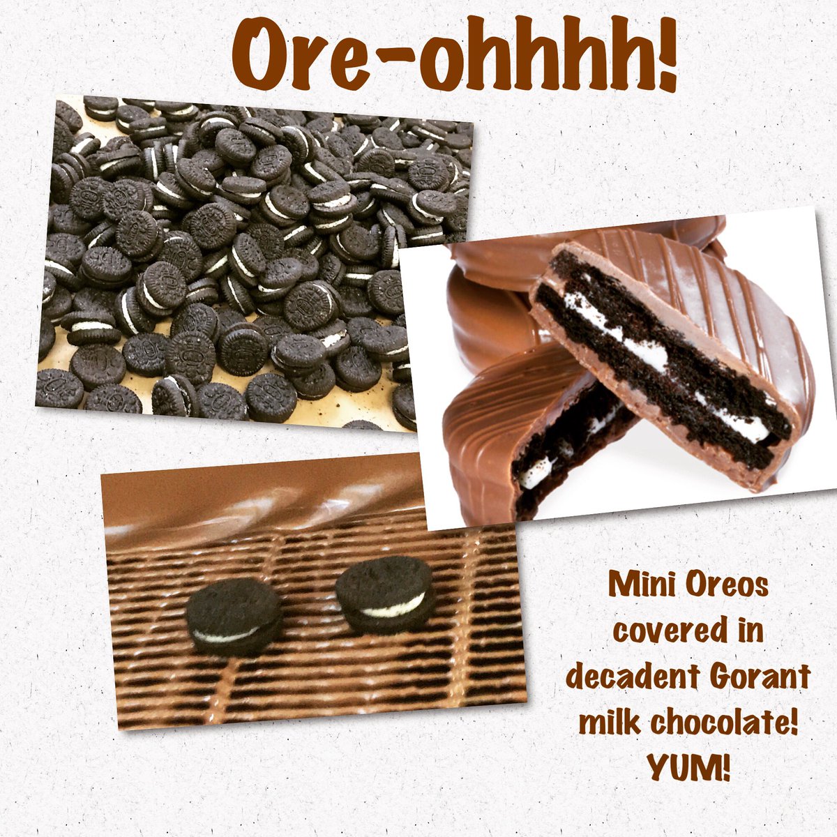 GorantChoc's tweet photo. Bite size perfection!!! #sweeteneverymoment https://t.co/EeyFjhHL5W