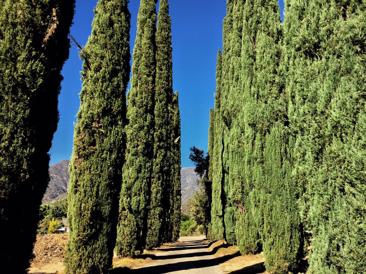 _RomanAClefFilm's tweet photo. Location Scout Day #1 https://t.co/SB0mgpAn2q