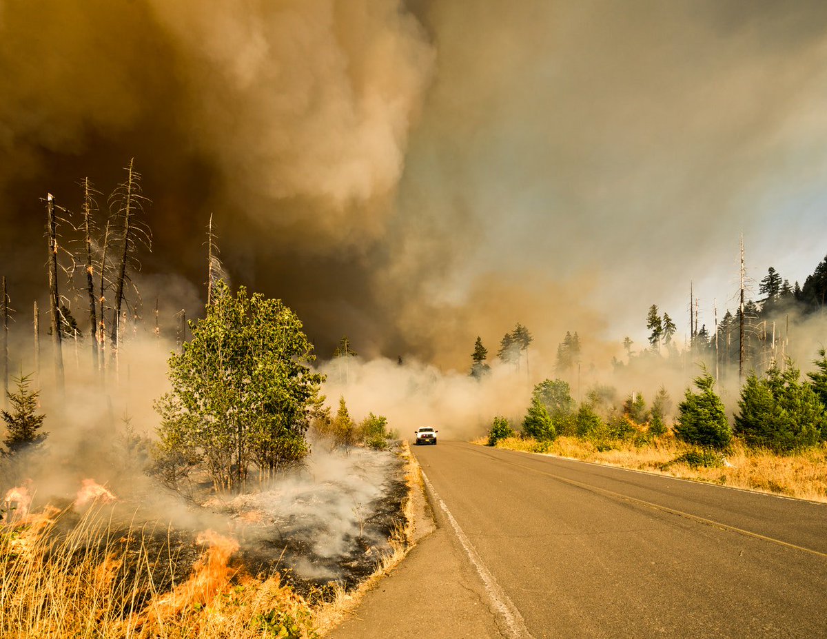 NatlGovsAssoc's tweet image. After devastating fire season, #WeTheStates urge Congress to pass a #firefix this year nga.org/cms/nga-letter…