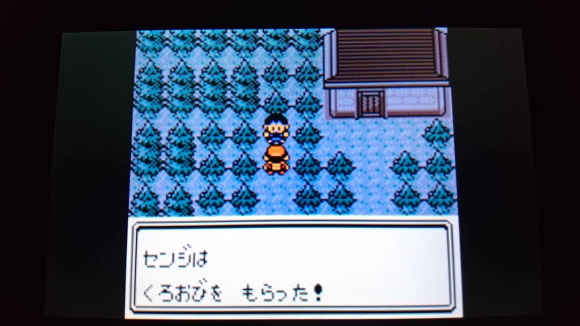 センジ センジは くろおびを もらった ポケモン金銀 T Co Y94u3ogg1g Twitter