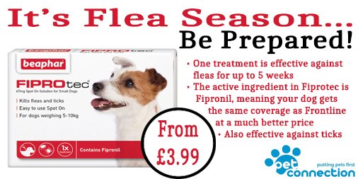 It's flea season - keep your dogs protected with Fiprotec! 🐾 #dogsoftwitter #woofwoofwednesday #wednesdaywisdom ow.ly/NwbG30g7u4S