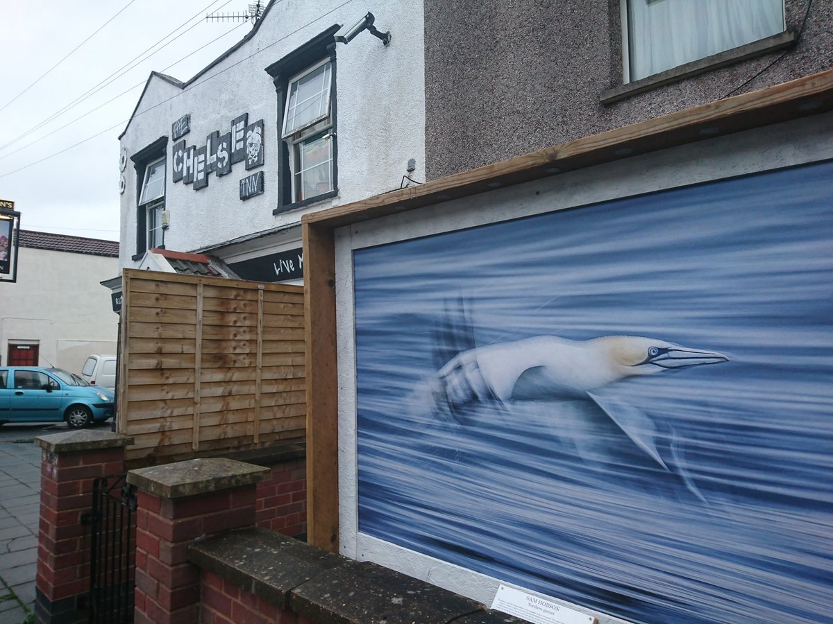 CharliSams's tweet photo. More beautiful #marinelife images found in BS5 #Bristol #Easton. So glad I got to see the #witnessthewild trail before I went away! https://t.co/FxCn5xsE8M