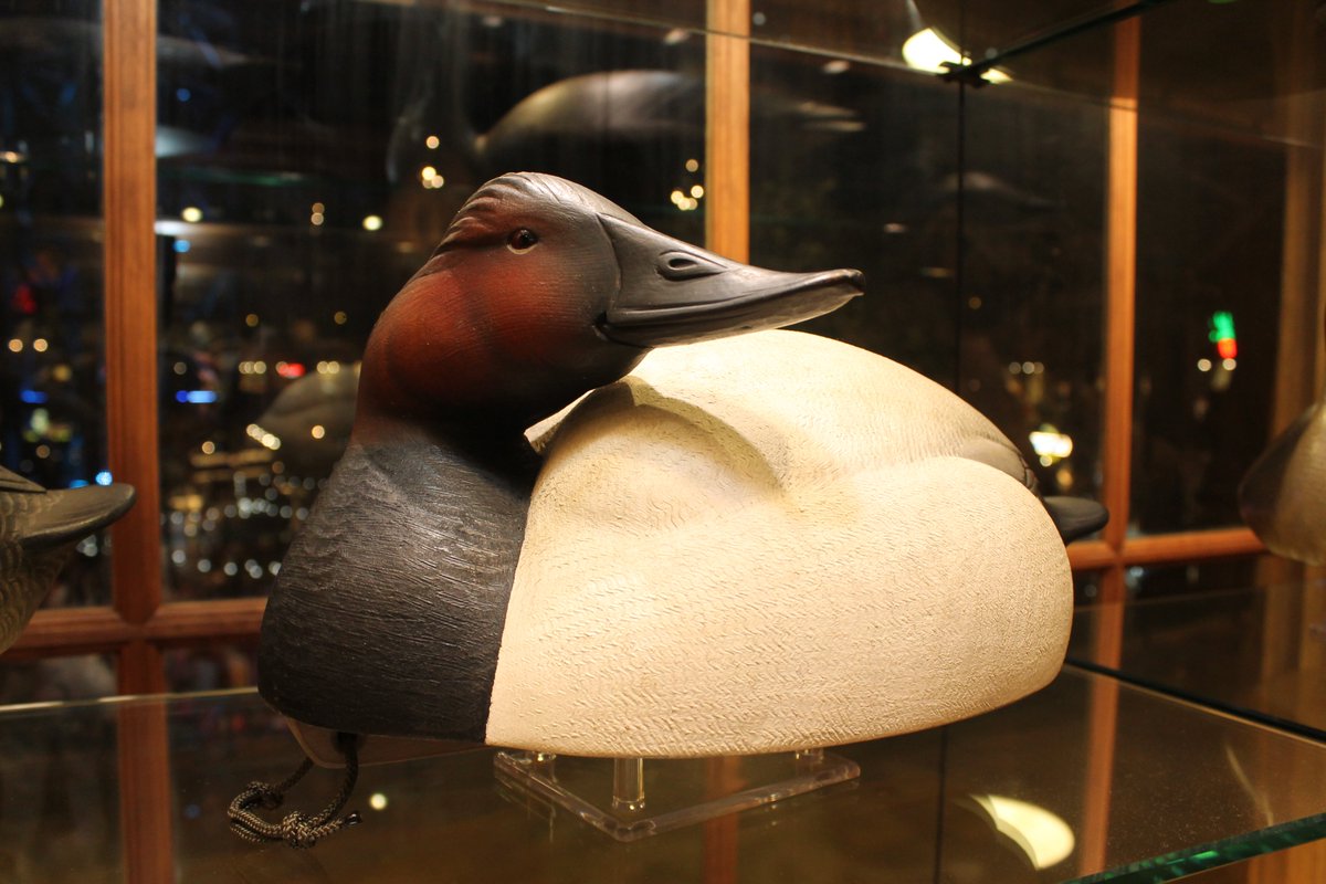 DucksUnlimited's tweet photo. Discover decoy carving at the DU Waterfowling Heritage Center @BassProShopsPyramid.Learn more: https://t.co/CjmJCAVnB9 #DUmuseum #decoys https://t.co/nEOpVbTkrf