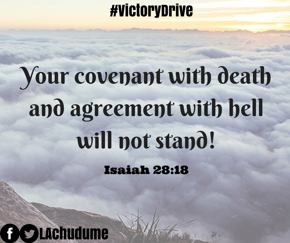 Lawrence Achudume on Twitter: "You are free to live and flourish! #VictoryDrive… "