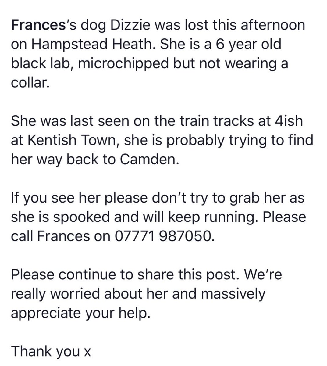 VetsGetScanning's tweet photo. DIZZIE #lostdog #HampsteadHeath 
Seen by train tracks at #KentishTown #camdentown 
Pls RT Call  07771 987050 https://t.co/uTL9vbLqYZ https://t.co/RfGVQj1EEc
