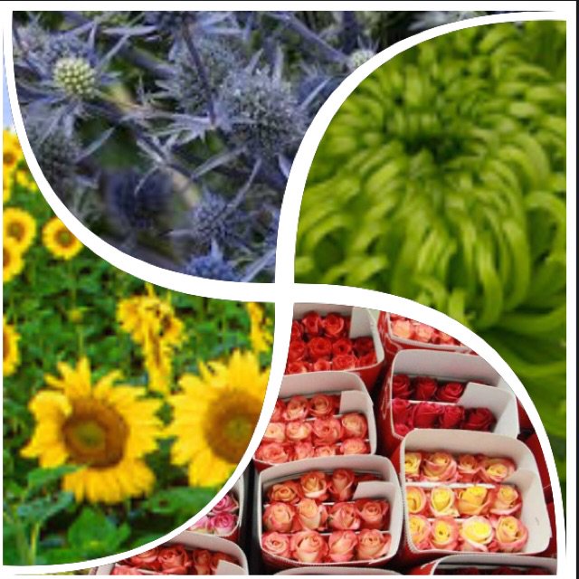 GTF Preston tweet media