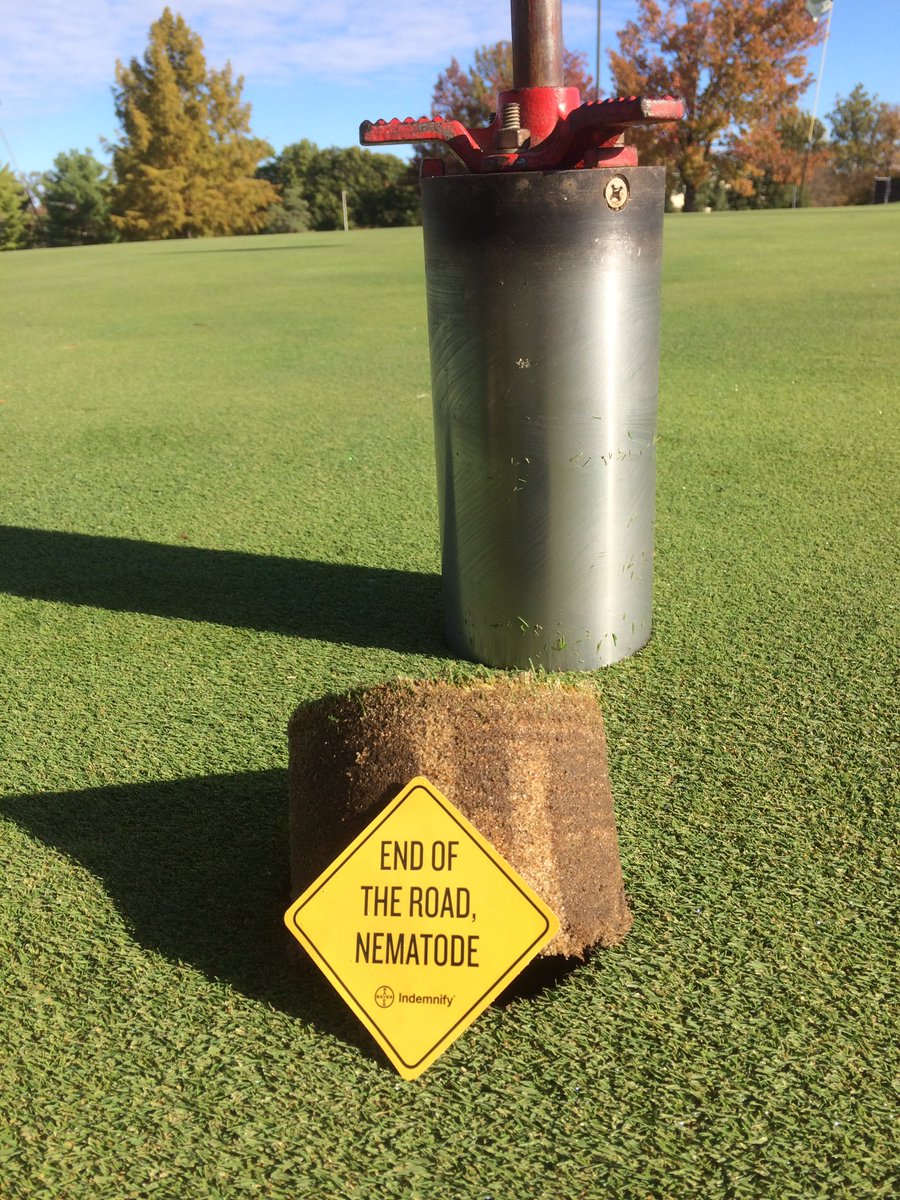 Eric Cletis Acton tweet media