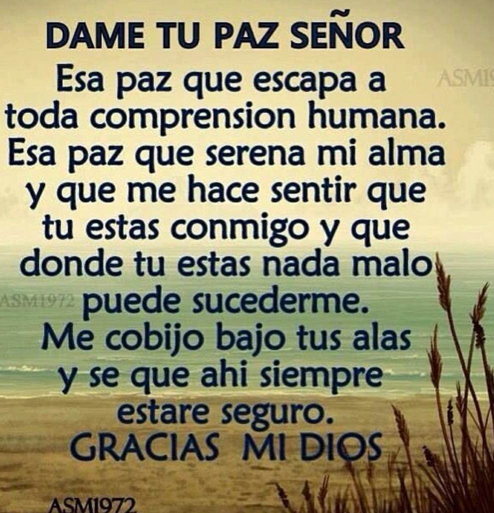 aNcH_R's tweet photo. Paz más allá de todo entendimiento 🙏 #FelizMiercoles #afirmaciones #aprb https://t.co/WKpsmnkG0u