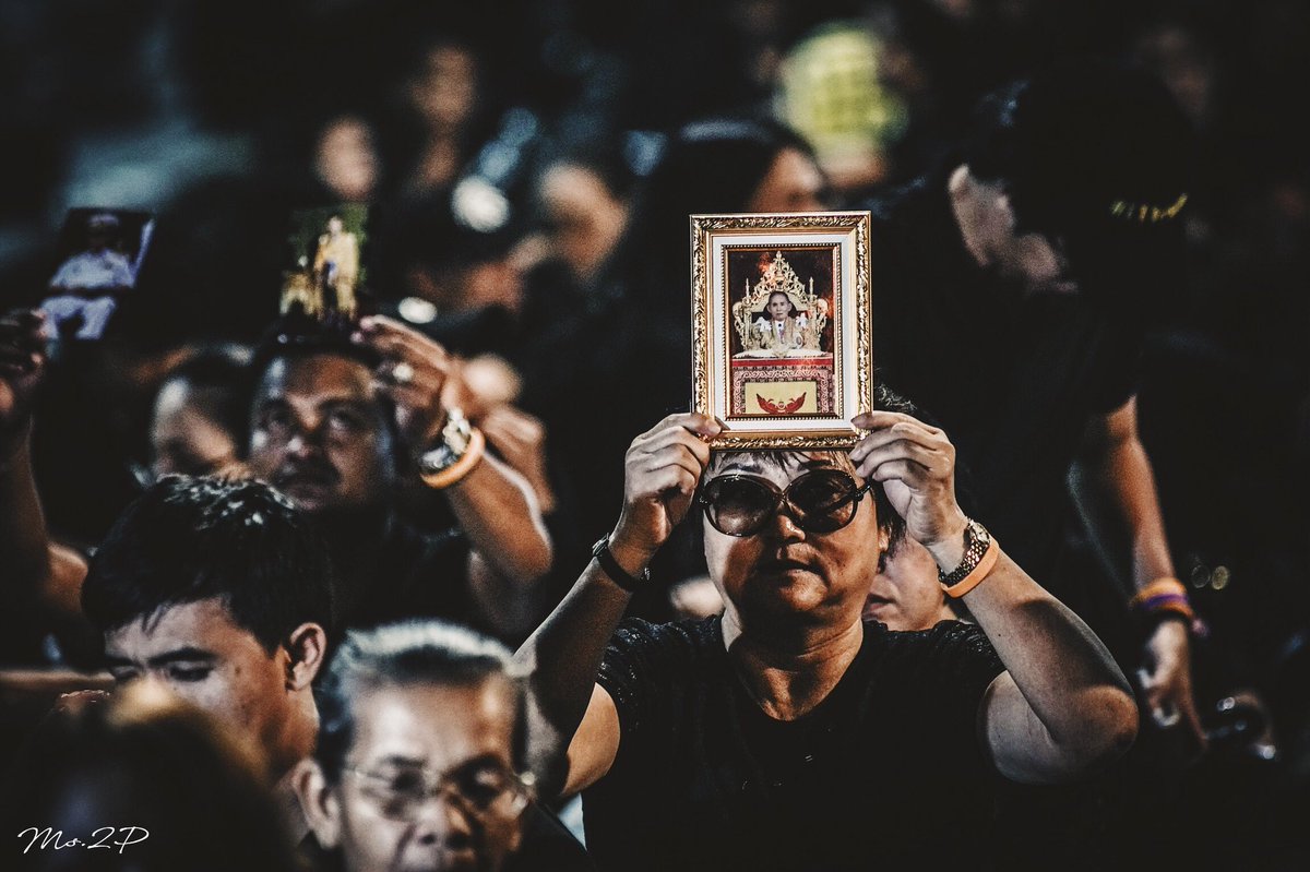 แสงหิ่งห้อยของผลิต tweet media
