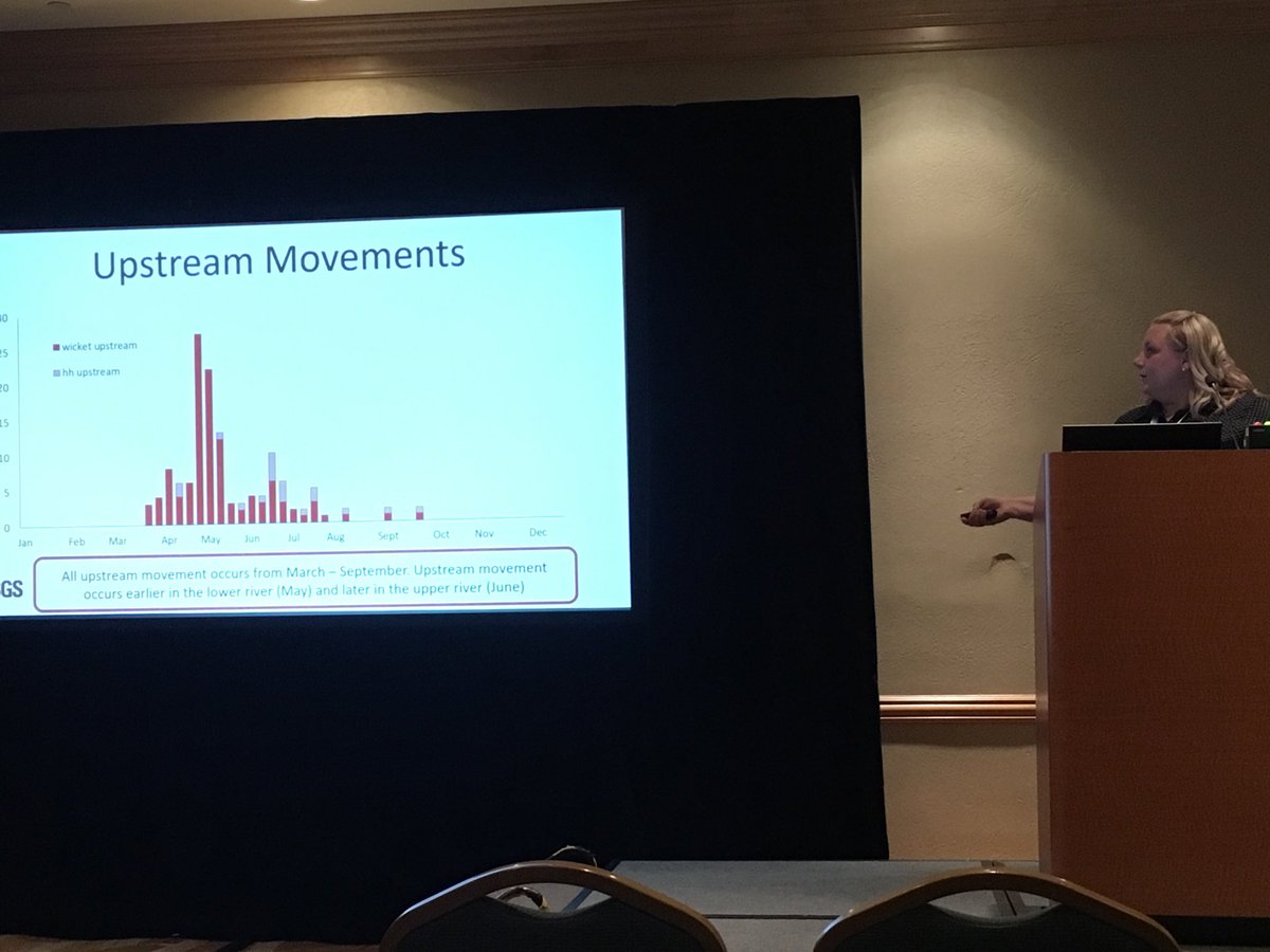 MerkesChris's tweet photo. Marybeth Brey: Asian Carp move upstream on a seasonal basis, most often during open river events at low-head dams. #ICAIS2017 https://t.co/v69hZD3ZJ2
