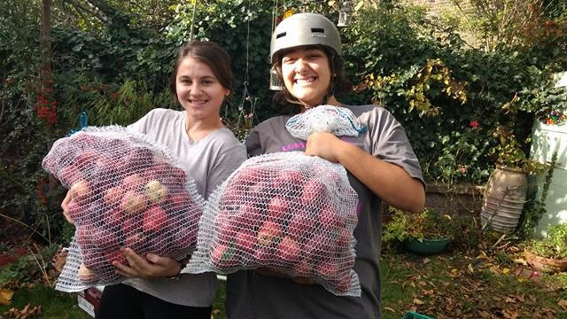GleaningLDN's tweet photo. It was raining apples today at our #urbanharvest in #Hackney! Join us tomorrow in #Haringey for another harvest https://t.co/trjtCKh1rY https://t.co/MWuFwsnIEa