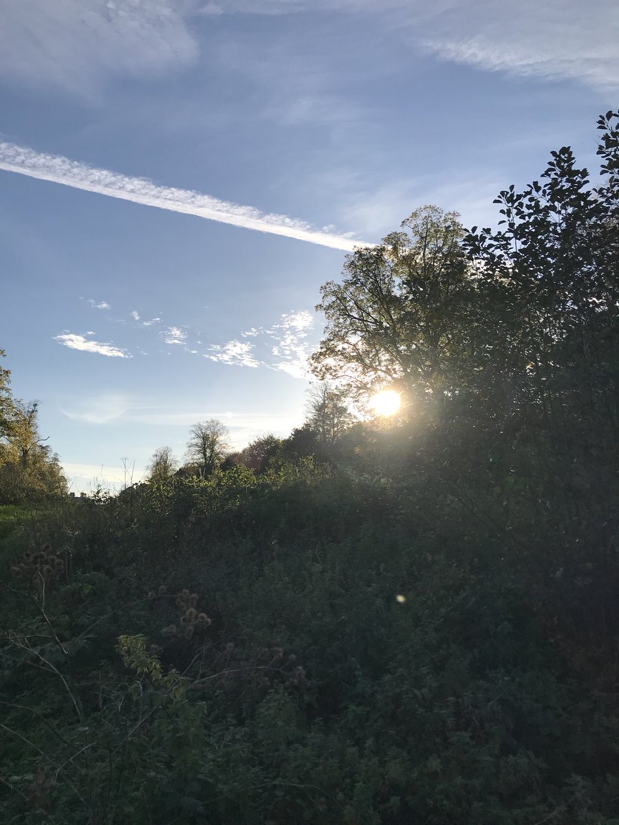 Rudestar069's tweet photo. Afternoon stroll @Forty_Hall with the family. #fortyhall #woods #walk #relaxing #autumn #leaves #sunshine https://t.co/Shgzgd1LOX