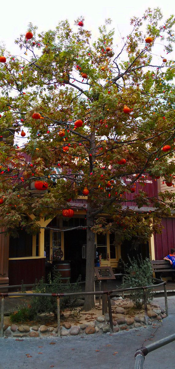 WaltsDisneyland's tweet photo. NOW is a good time to read Ray Bradbury's The Halloween Tree—and a good time to visit Disneyland's #Halloween Tree. https://t.co/Nno4Va9jh8 https://t.co/kRc6owfJbQ