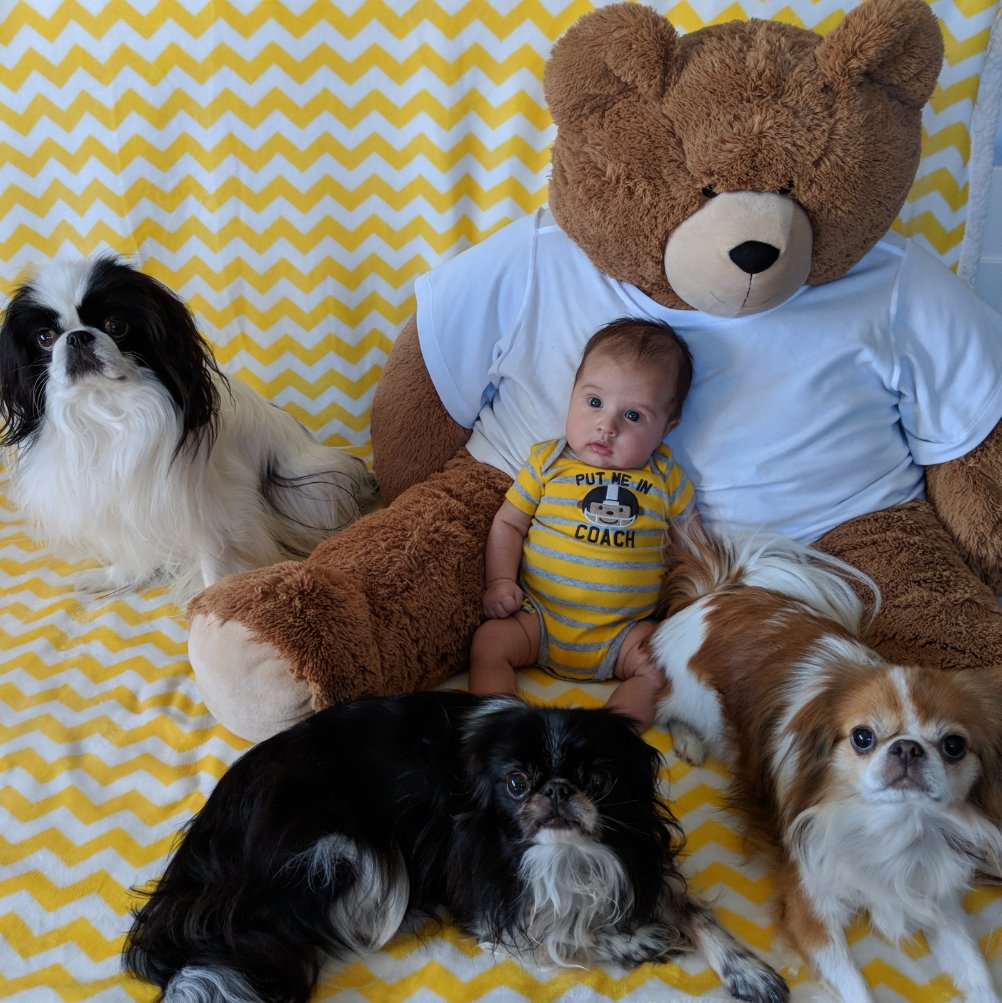 amyjohays's tweet photo. 💙💙 All my baby boys.. and Bob 😉 💙💙 #iminlove #areyoukiddingme #cutenessoverload @wadehaysracing https://t.co/H4pcfZdGwB