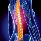 asksidney's tweet photo. Did you know we offer a 20 minute free Spinal Health Check??? Call 01303 230300 to book in! https://t.co/ACzXXlltHA