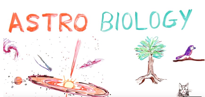 FRLC_LLC's tweet photo. “It helps in the quest for life to look for precursors or markers of life as we know it"
#astrobiology
https://t.co/qGpnJh9vD6 https://t.co/UHx5Osdo0p