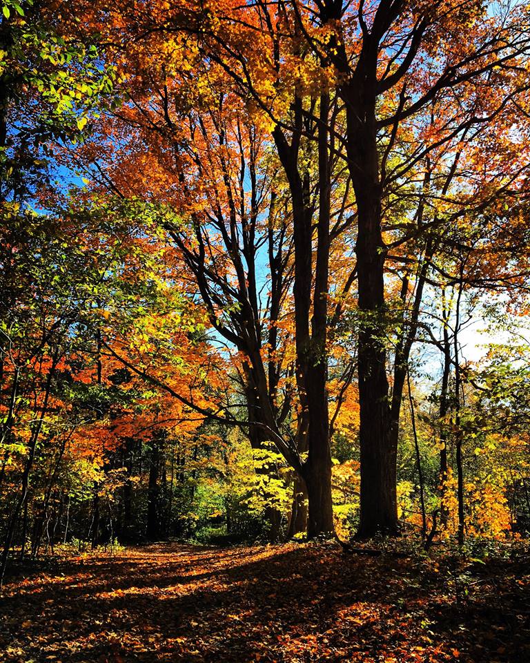 PerthCoTourism's tweet photo. It's not hard to FALL for Perth County 😍🍃🍂 (see what we did there??) https://t.co/9gzqbqQi5l