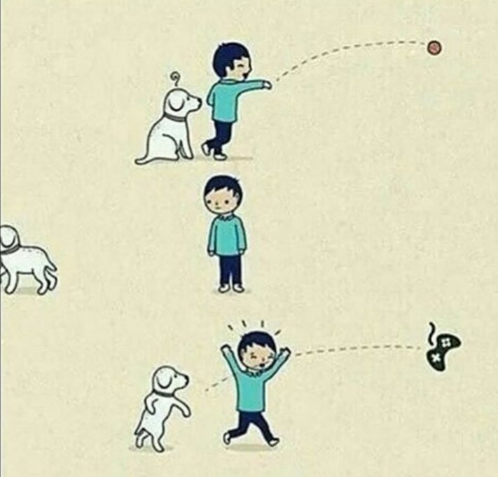 penelope_waldo's tweet image. #HumorPerruno🐶⚾🎮👌