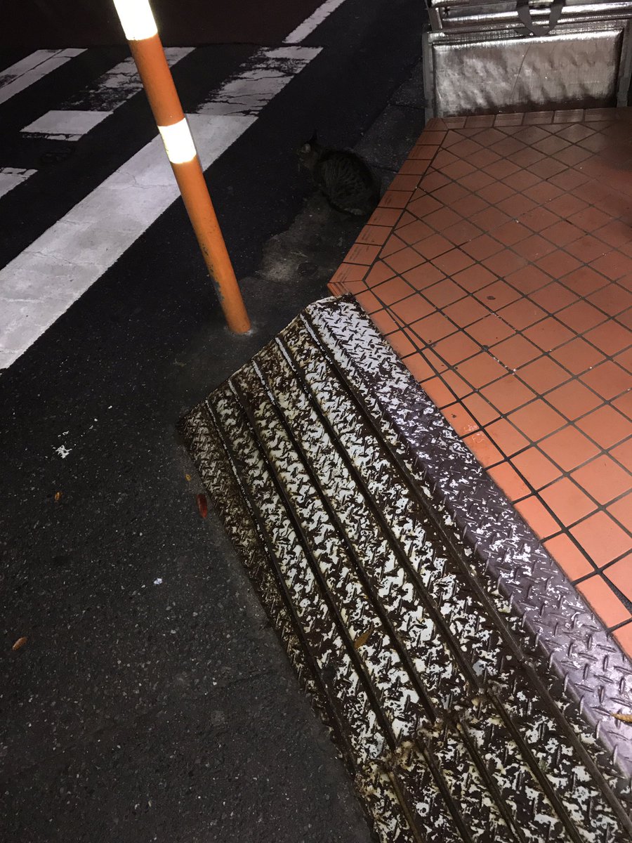 こないだより
はっきり撮れました。