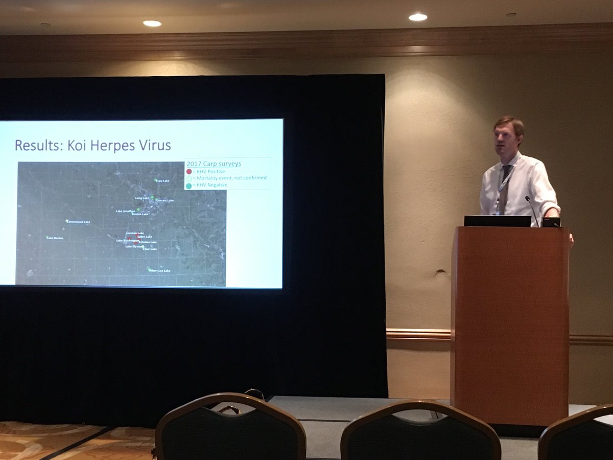 MerkesChris's tweet photo. U of MN researchers may have found novel virus in Minnesota that selectively kills invasive carp. #ICAIS2017 https://t.co/aWiI2DOTr6