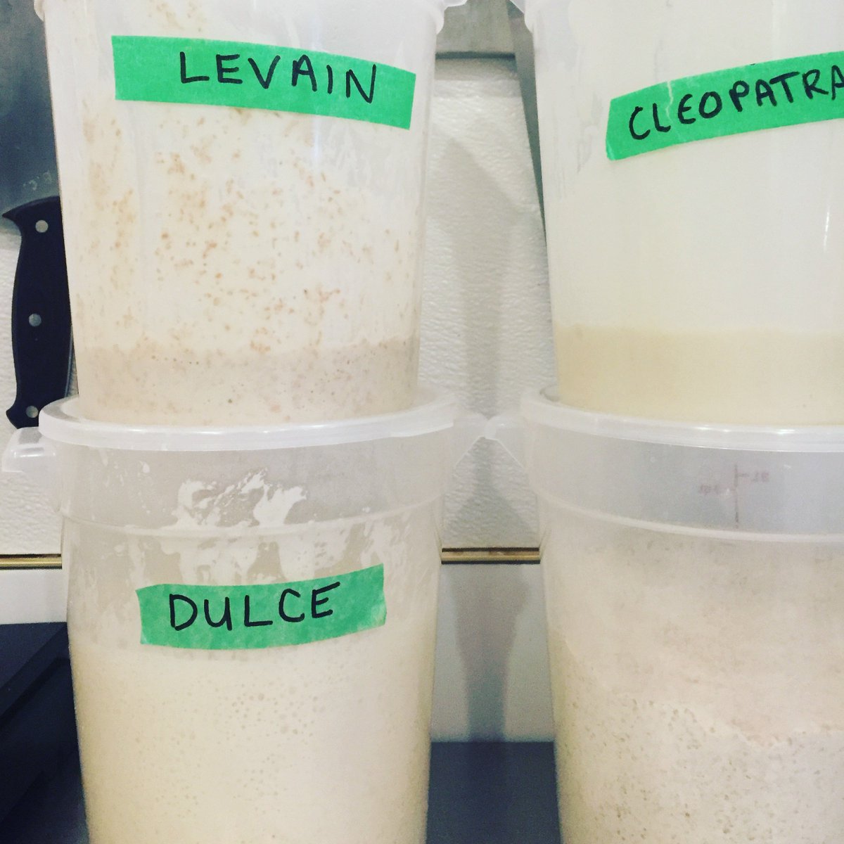 These sourdough starters will be in full swing a week today. Making our dinner service better, more focused, and delicious. #yegfood