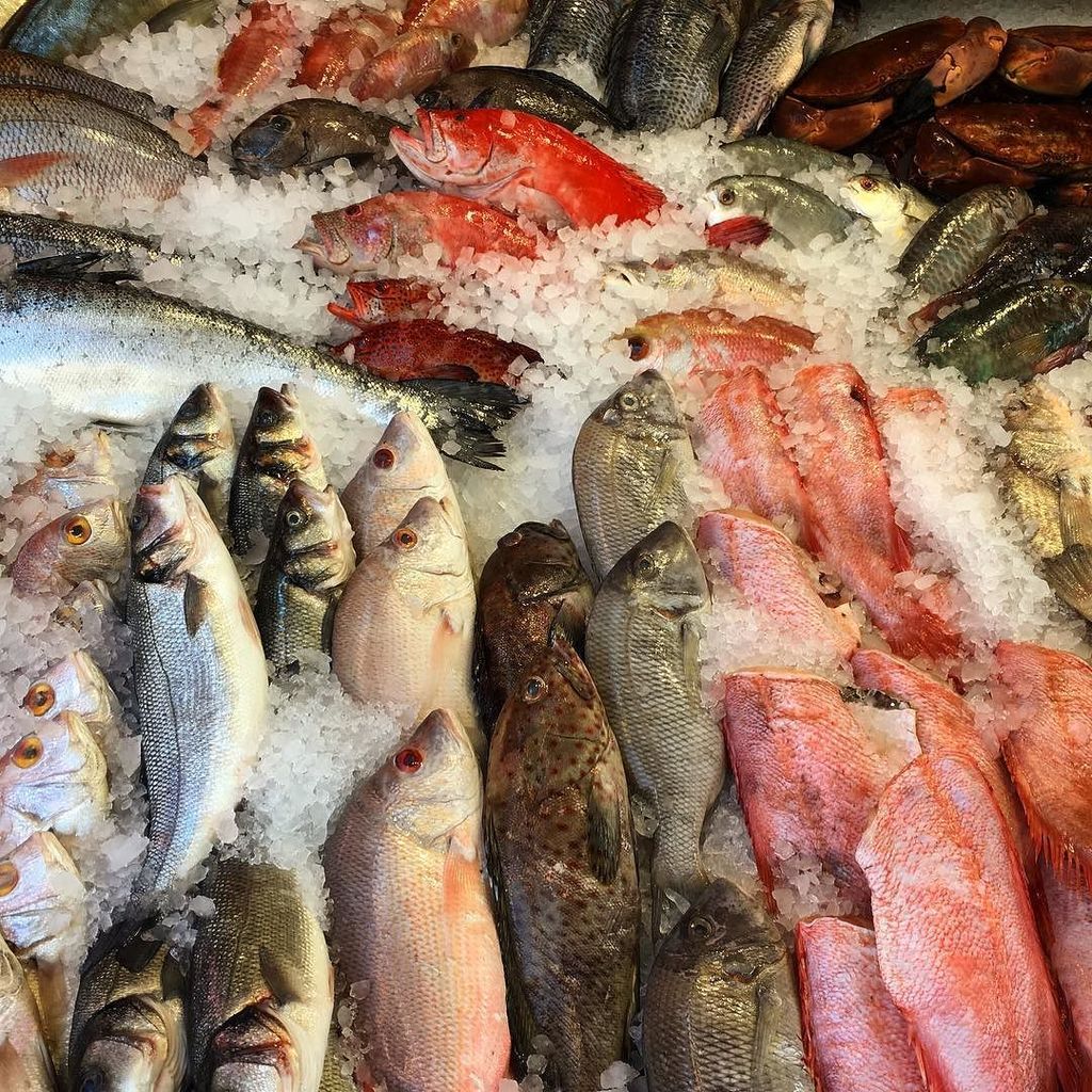 Samitamimi's tweet photo. I’m having fish tonight 🐟🐠🐟 #west #london #home #seafood #fishtonight #fishyfishy #myworld #mycooking #samitamimi … https://t.co/IrsSexsZKM https://t.co/t4JCRsL1tE
