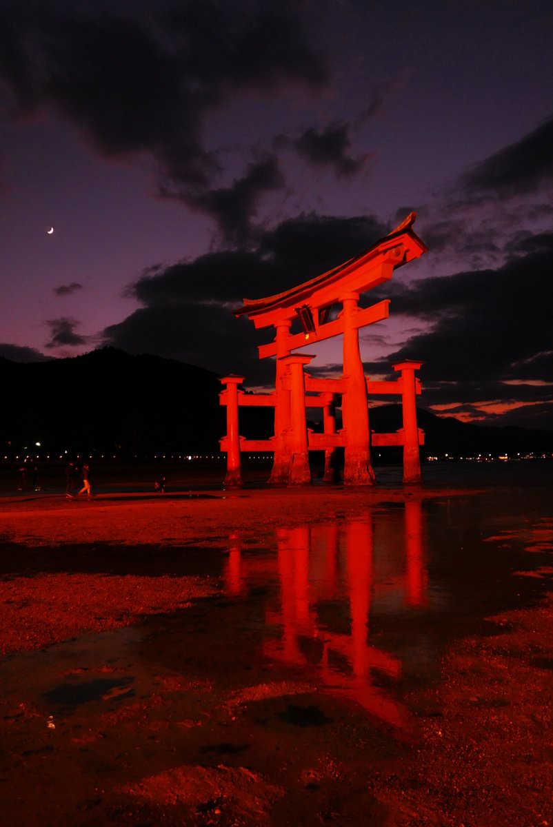 Seventhly 17 10 23 安芸の宮島 広島 ダイナミックさ当社比３００ ニャンボー みゃー島 厳島神社 大鳥居